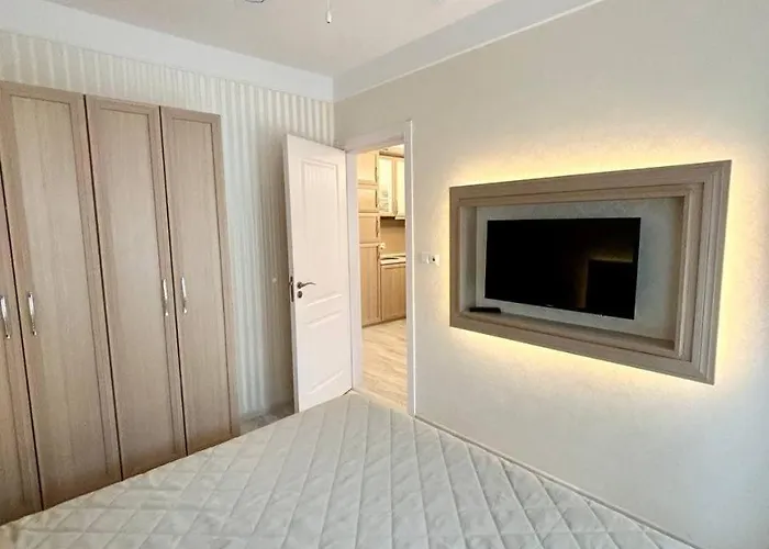 Vip Harmony 20 Svety * 圣弗拉斯